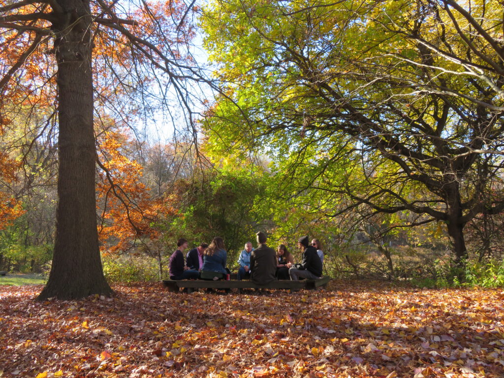Collaborative group sits in a circle outside talking with a fall backdrop.