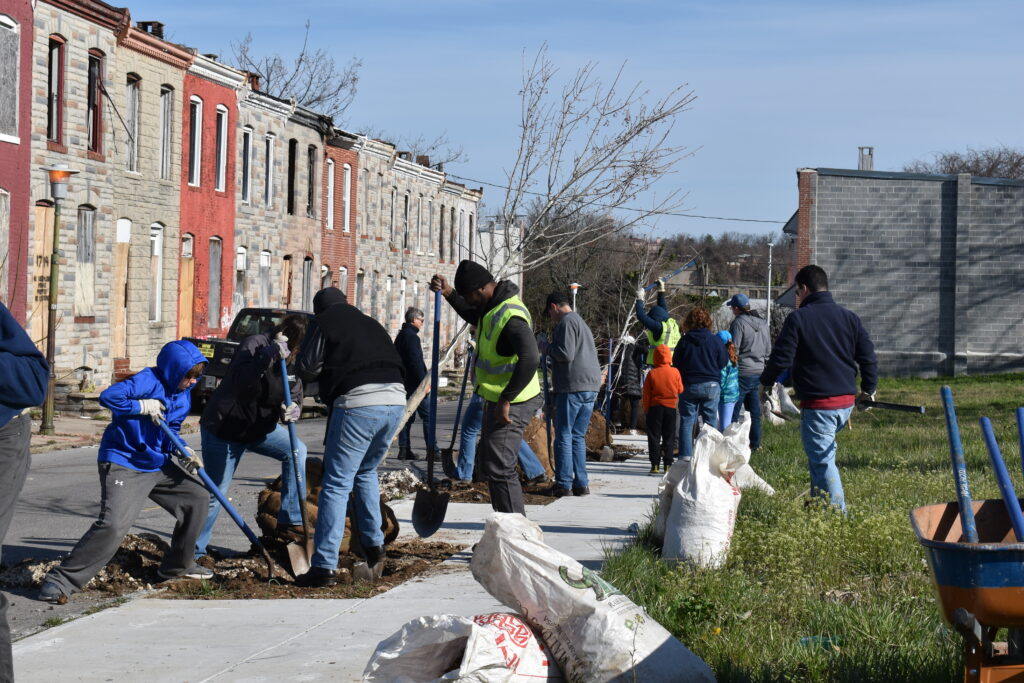 A group of people plant trees in a Baltimore neighborhood