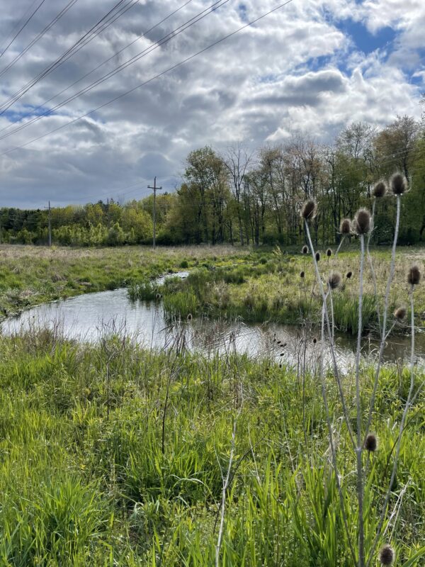 photo of a project site in the Upstream Suburban Philadelphia cluster